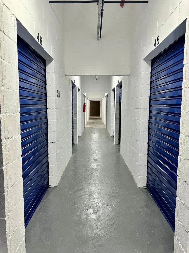 Gallery image